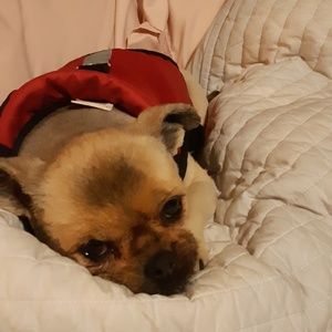 Meet your Posher, Tracy